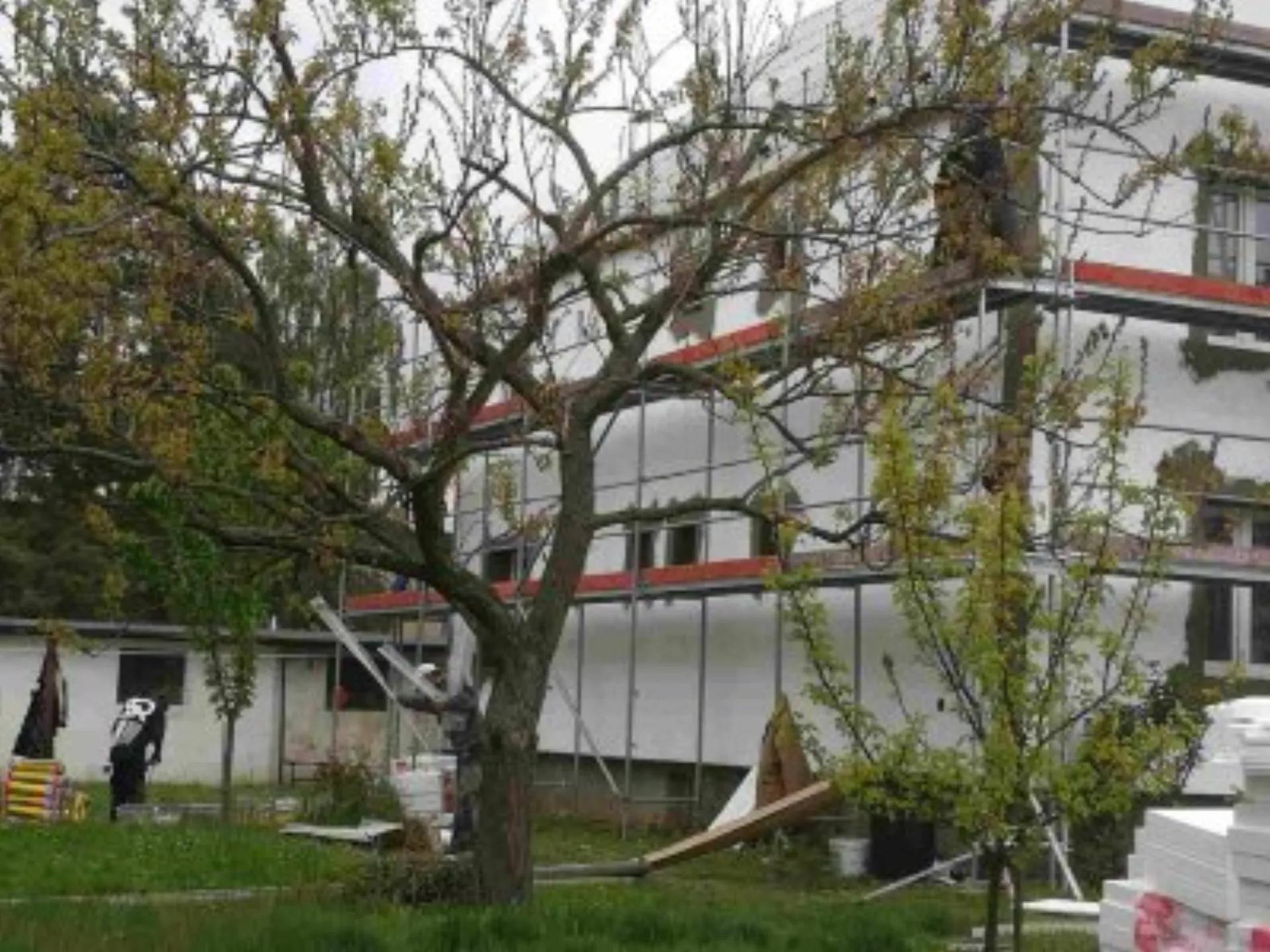 135 Revitalizace Bd St9 - 4