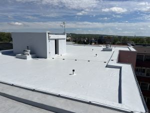 270 Rooseveltova 54, KR