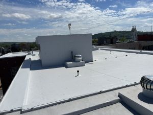 270 Rooseveltova 54, KR
