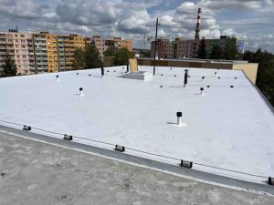 274. GO střechy SPC N61